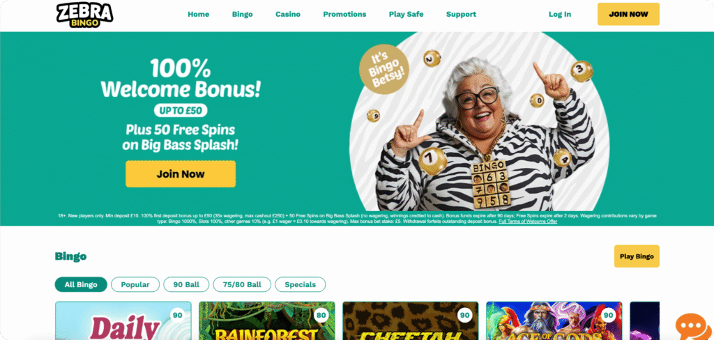 ZebraBingo Casino Homepage